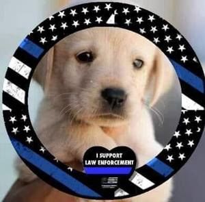 Meet your Posher, Hanna